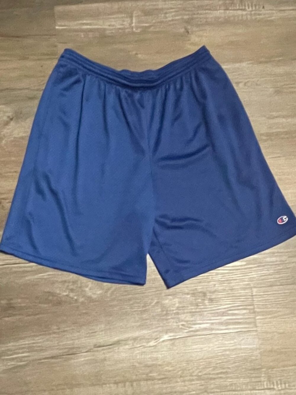 Vintage Champion Blue Sweat Gym Shorts 90s Y2K Large Men’s